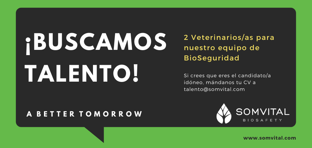 oferta empleo veterinarios