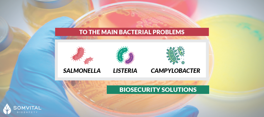 biosecurity solutions