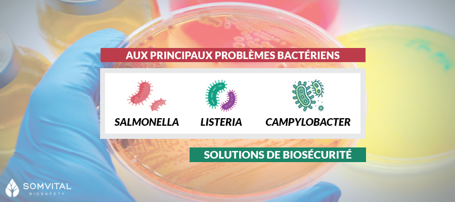 SOLUTIONS DE BIOSÉCURITÉ